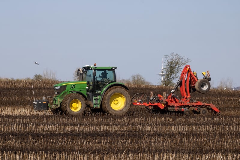 Summer Fertilizing