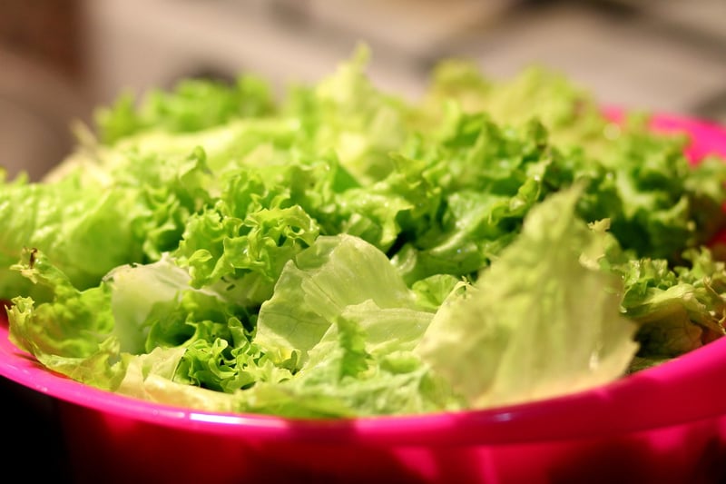 Fresh lettuce under sunlight